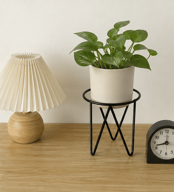 Black tabletop plant stand